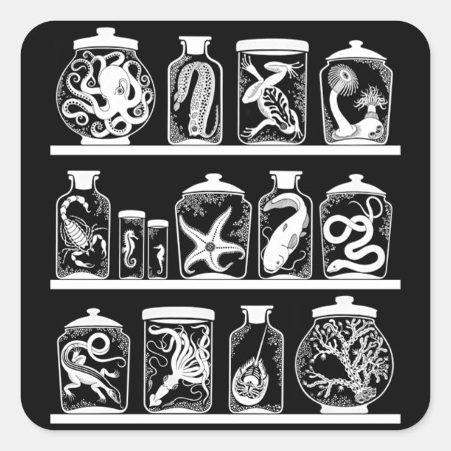 OPUS Curiosity Cabinet Square Sticker (Front)