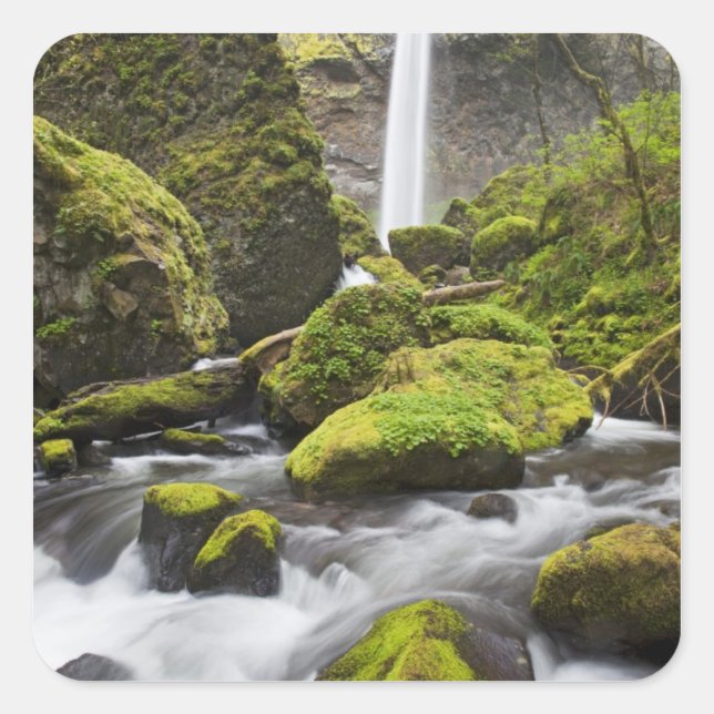 OR, Columbia River Gorge, Elowah Falls and Square Sticker (Front)