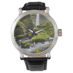 OR, Columbia River Gorge, Elowah Falls and Watch