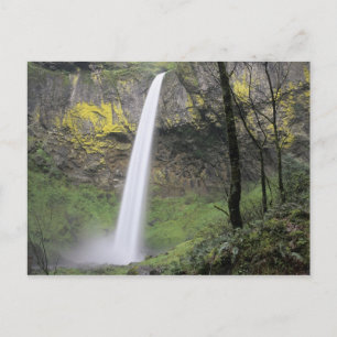 OR, Columbia River Gorge, Elowah Falls, McCord Postcard