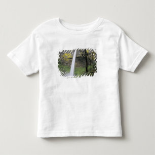OR, Columbia River Gorge, Elowah Falls, McCord Toddler T-Shirt