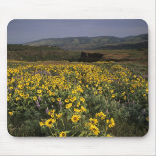 OR, Columbia River Gorge, Rowena Plateau, Tom Mouse Pad