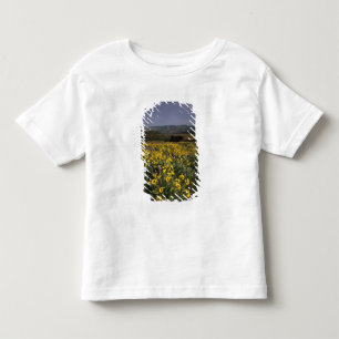 OR, Columbia River Gorge, Rowena Plateau, Tom Toddler T-Shirt
