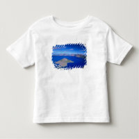 OR, Crater Lake NP, Wizard Island and Crater