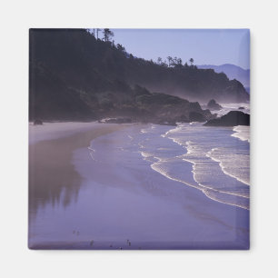 OR, Ecola SP, Indian Beach with morning fog Magnet