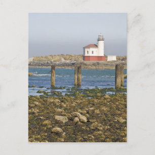 OR, Oregon Coast, Bandon, Coquille River 2 Postcard
