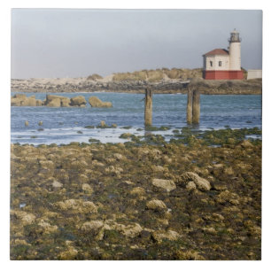 OR, Oregon Coast, Bandon, Coquille River Ceramic Tile