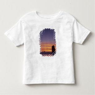 OR, Oregon Coast, Cannon Beach, seastacks at Toddler T-Shirt