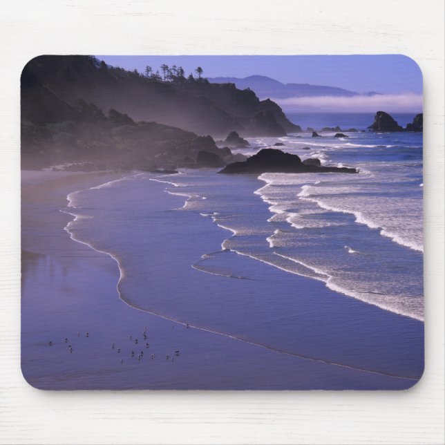 OR, Oregon Coast, Ecola SP, Indian Beach with Mouse Pad (Front)