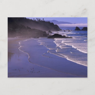 OR, Oregon Coast, Ecola SP, Indian Beach with Postcard