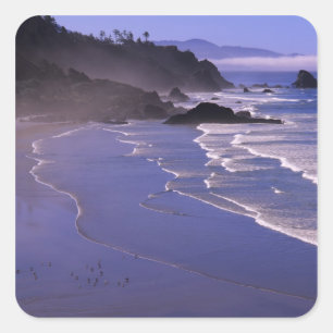 OR, Oregon Coast, Ecola SP, Indian Beach with Square Sticker