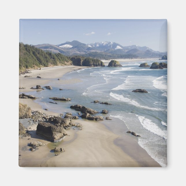 OR, Oregon Coast, Ecola State Park, Crescent 2 Magnet (Front)