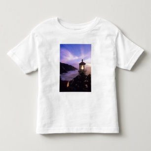 OR, Oregon Coast, Heceta Head Lighthouse, on Toddler T-Shirt