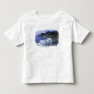 OR, Oregon Coast, Heceta Head Lighthouse, on Toddler T-Shirt