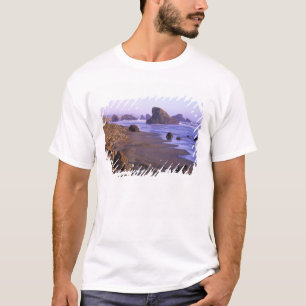 OR, Oregon Coast, Myers Creek, rock formations T-Shirt