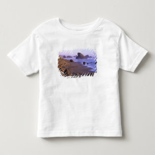 OR, Oregon Coast, Myers Creek, rock formations Toddler T-Shirt