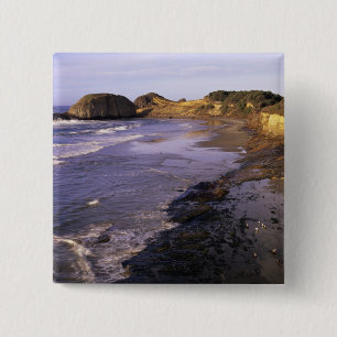 OR, Oregon Coast, Newport, shoreline at Seal 15 Cm Square Badge