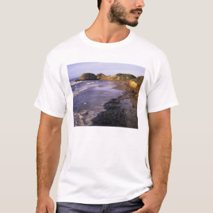 OR, Oregon Coast, Newport, shoreline at Seal T-Shirt
