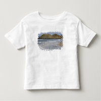 OR, Oregon Coast, Seal Rock State Park,