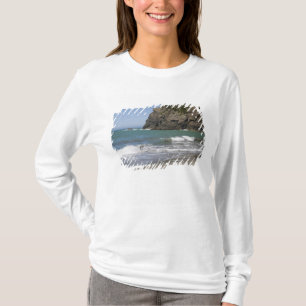 OR, Oregon Coast, Whaleshead Beach, South T-Shirt