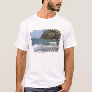 OR, Oregon Coast, Whaleshead Beach, South T-Shirt