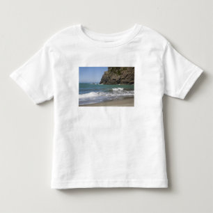 OR, Oregon Coast, Whaleshead Beach, South Toddler T-Shirt