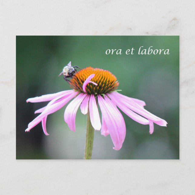ora et labora postcard (Front)
