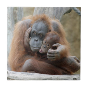 Orang Utan 001 Tile
