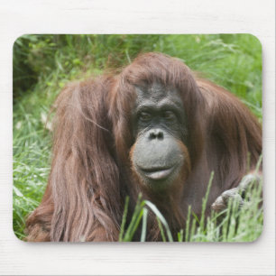Orang Utan Lady Mouse Pad