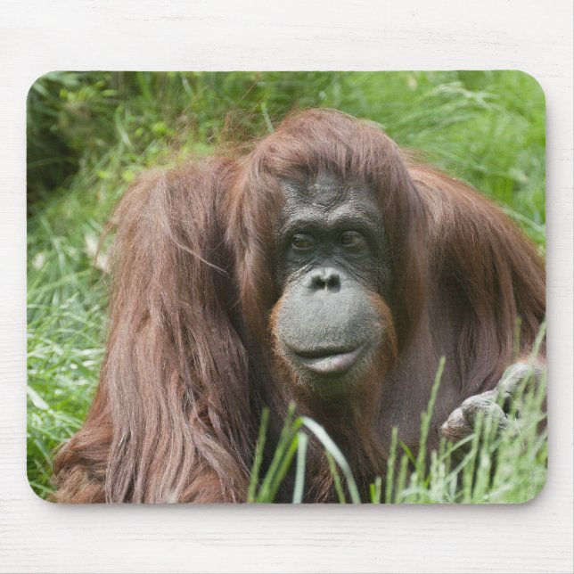 Orang Utan Lady Mouse Pad (Front)