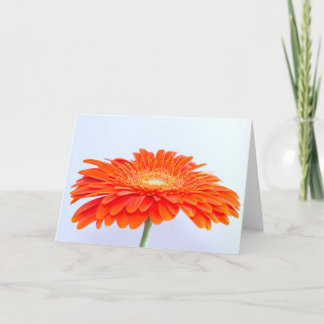 "Orange!" 5" x 7" greetings card, blank Card