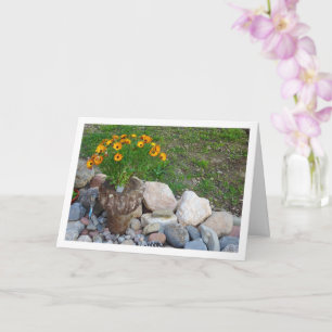 Orange African Daisies Portrait Card