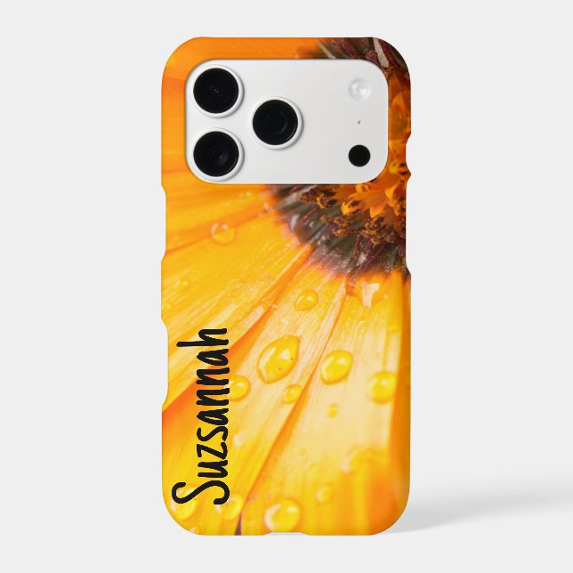 Orange African Daisy Close-Up Floral Photo (Back)