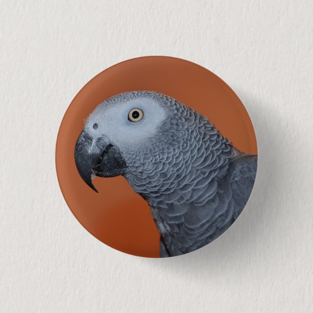 Orange African Grey Parrot Button / Badge (Front)