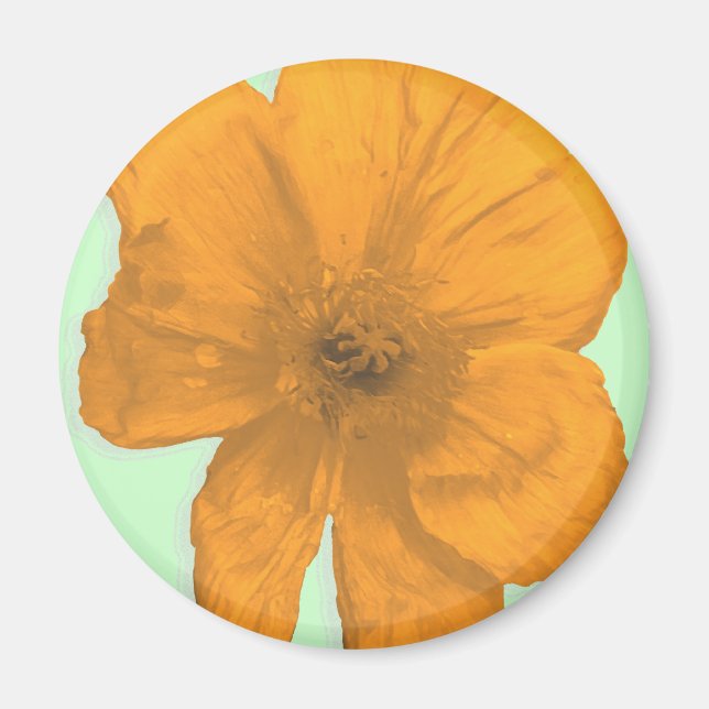Orange Aid/ PopArt Flower Magnet (Front)