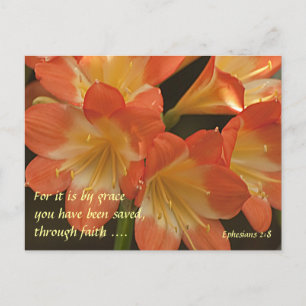Orange Amaryllis Postcard