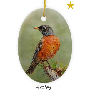 Orange American Robin Bird Painting Year Christmas Ceramic Ornament
