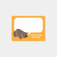 Orange American Toad Photo Personalized
