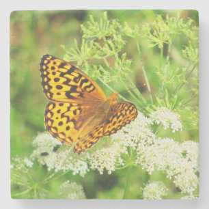 Orange and Black Butterfly and White Flowers Stone Coaster