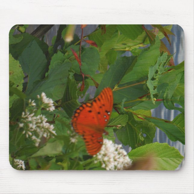 Orange and Black Butterfly at the Lake Mouse Pad (Front)
