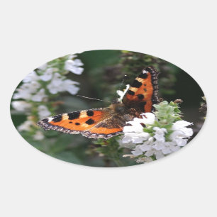 Orange and Black Butterfly on White Flowers Oval Sticker