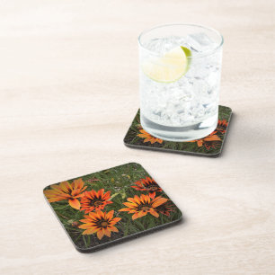 Orange and Black Gazanias Coasters