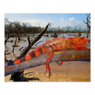 Orange and black lizard in Margarita Glossy Poster