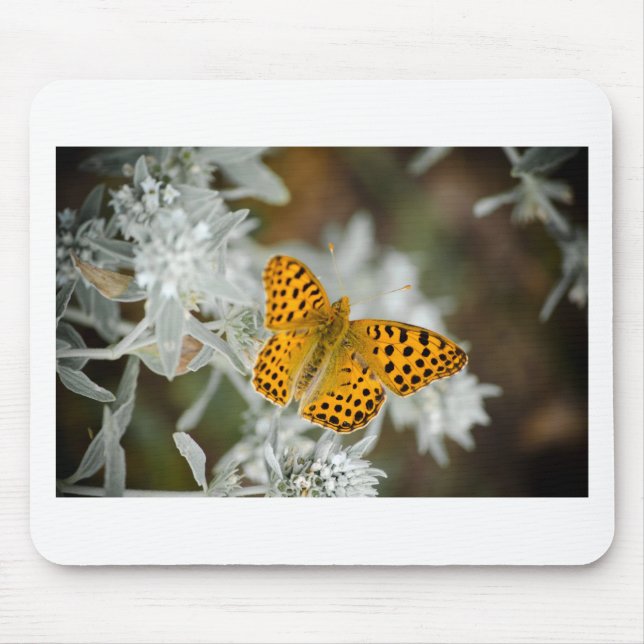 Orange and Black Spotted Butterfly Mouse Pad (Front)