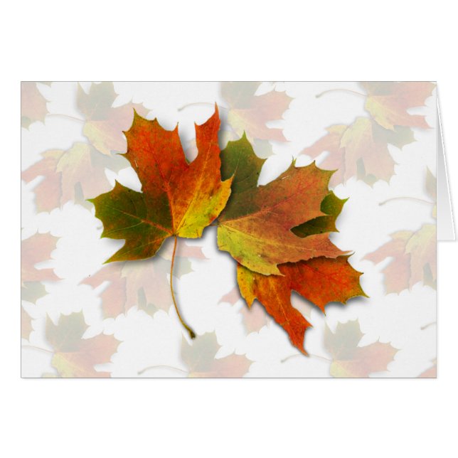 Orange And Golden  Autumn Leaves (Front Horizontal)
