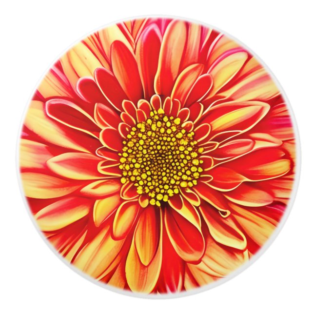 Orange and Golden Yellow Aster Flower  Ceramic Knob (Front)