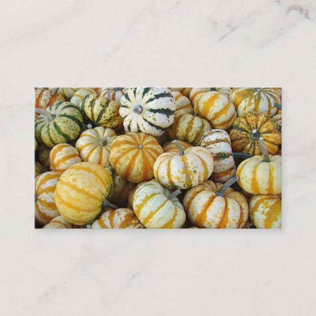 Orange and Green Autumn Harvest Gourds Business Card (Front)