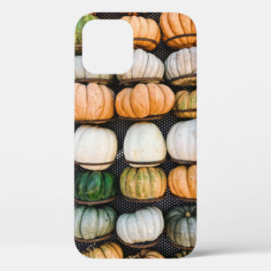 Orange and green pumpkin lot iPhone 12 case