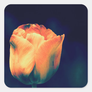 Orange and Green Tulips *Customise* Square Sticker