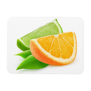 Orange and lime magnet